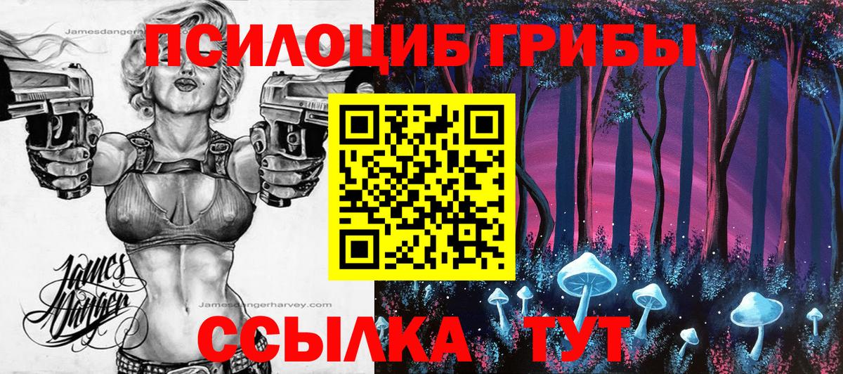 Калининград  Галлюциногенные грибы мухоморы  Вход с VPN 