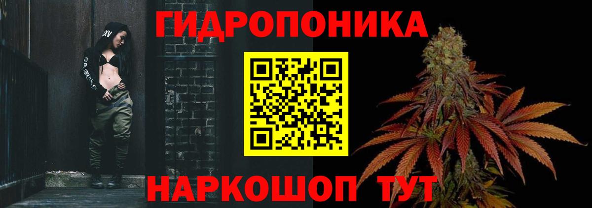 МАРИХУАНА планчик  Шишки марихуана THC 21%  Канабис Ganja  Калининград  Вход с VPN  Бошки Шишки гибрид 